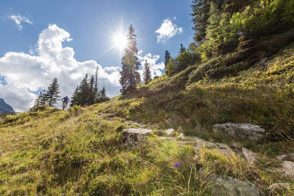 T3 Gasthof Spullersee Wald am Arlberg Exteriör bild